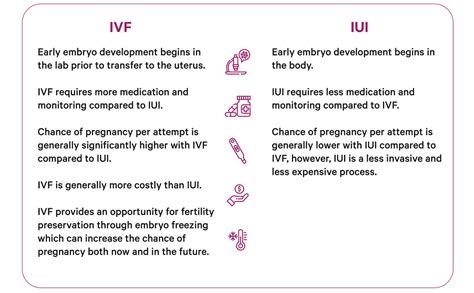 Infografika: Srovnání IUI a IVF - průběh, náklady a šance na úspěch