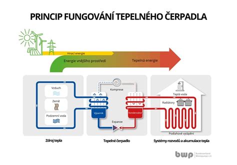 Infografika zobrazující princip fungování těhotenského testu.