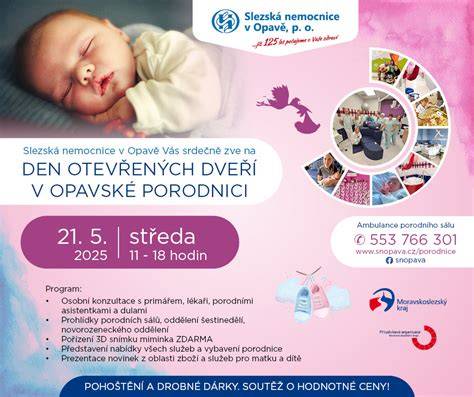 Infografika: Přehled porodu, oddělení a služeb v porodnici Mělník