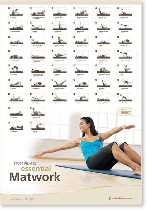Infografika: srovnání různých certifikací pilates (Balanced Body, STOTT PILATES, vlastní kurzy)