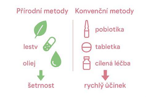 Infografika: Přehled prenatálních metod (nedeklarováno, doplnit vizuálem)