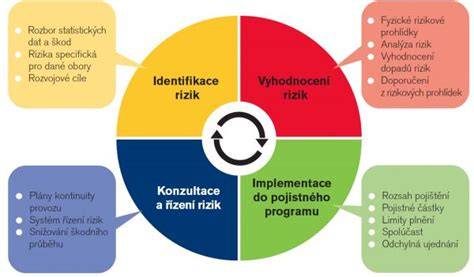 Infografika procesu předčasných porodů a řízení rizik