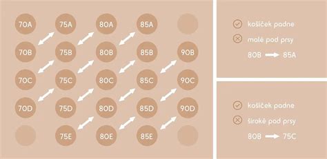 Infografika: Jak vybrat kojicí podprsenku