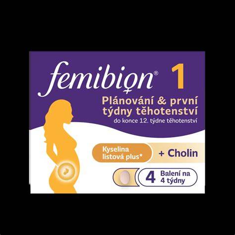 Infografika: Klíčové živiny pro plánování těhotenství a těhotenství