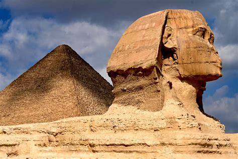 Různé starověké zvířecí chovy a jejich role v Egyptě: dobytek, kočky, psi, divoká zvěř