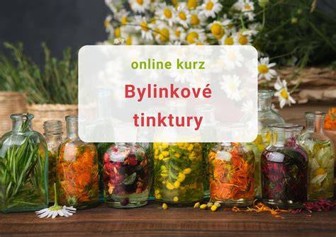 bylinkove_slozeni.jpg