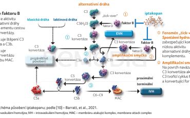 Schéma mechanismu působení Biorepair