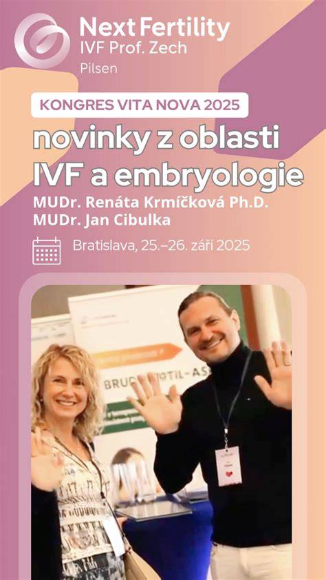 Infografika: Základní kroky přípravy na IVF a klíčové oblasti