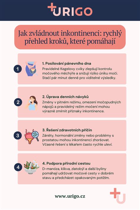 Infografika: Jak probíhá vyšetření moči během těhotenství