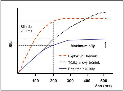 Graf porovnání nárůstu síly při excentrickém a koncentrickém tréninku