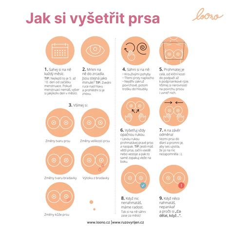 Infografika: Cvičební postup na míči podle trimestru