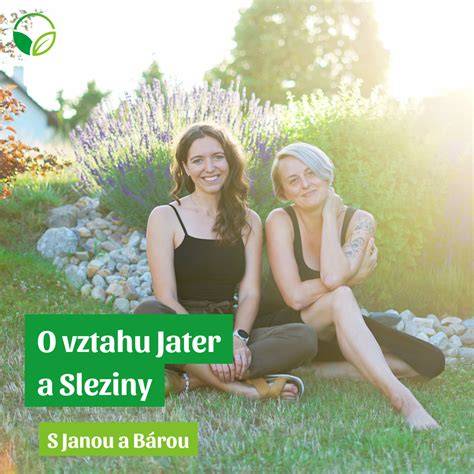 Infografika o struktuře ledviny, jater a sleziny v TČM