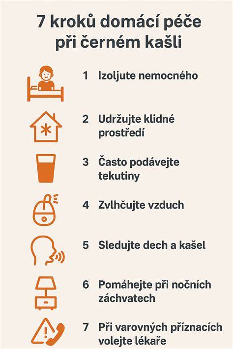 Infografika: krok za krokem - výroba domácí dětské přesnídávky