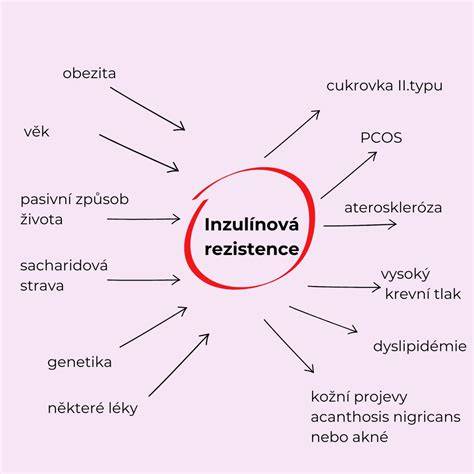 Infografika: Schéma mechanismu inzulínové rezistence během těhotenství