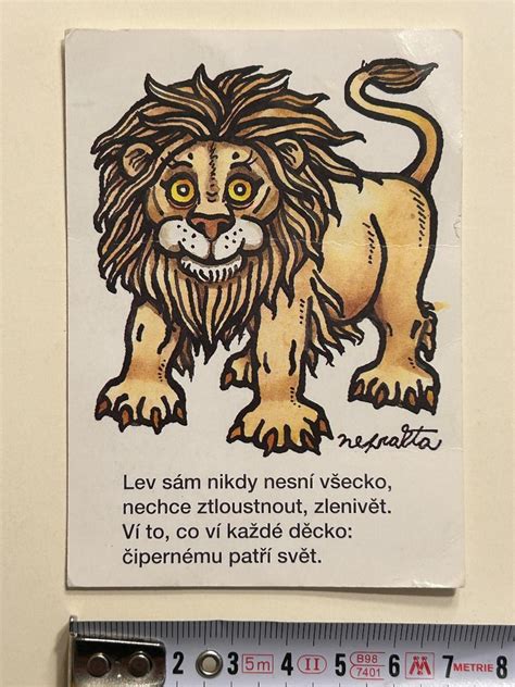 Solokartáček a mezizubní pomůcky - viz ilustrace rozdílů a použití