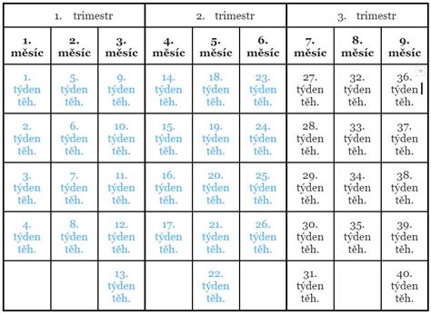 Infografika: 26. týden těhotenství - vyvíjející se plod, změny matky a hlavní vyšetření