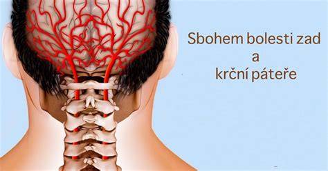 Infografika: KiSS syndrom a blokáda krční páteře - hlavní mechanismy a typy