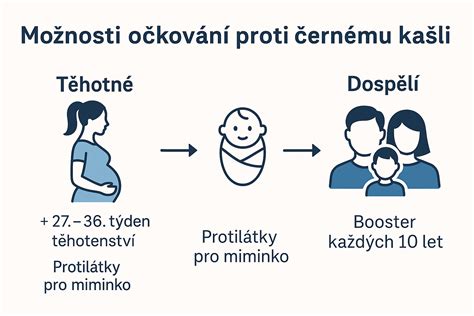Infografika: Očkování RSV a vakcín během těhotenství