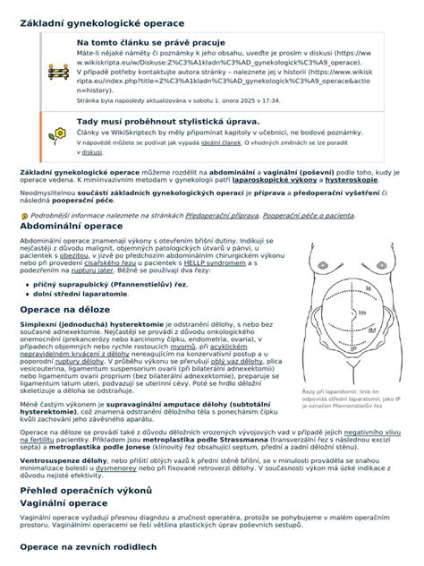 Celkový obraz gynekologické prohlídky po šestinedělí