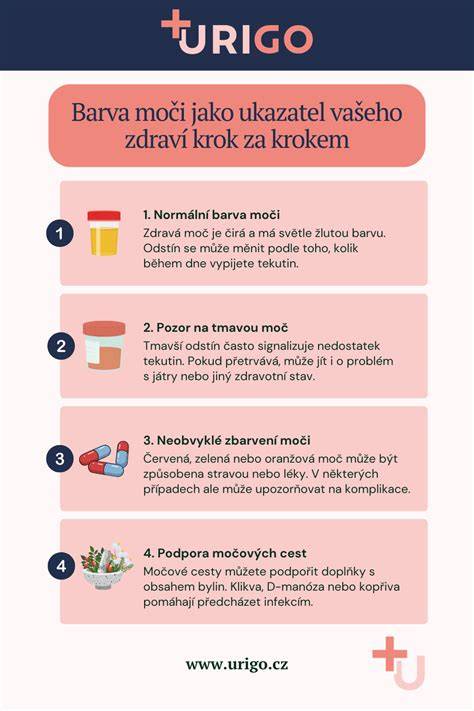 Infografika: Krok za krokem zavádění prvních příkrmů