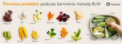 Infografika BLW principů