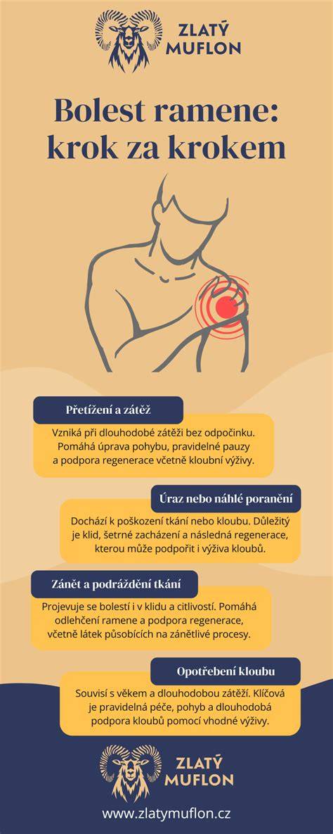 Infografika: Mechanismus ovulace a příčiny bolesti