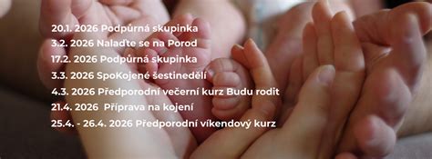 Schéma podpůrného kruhu kolem novorozence: rodina, lékař, laktační poradkyně, psycholog