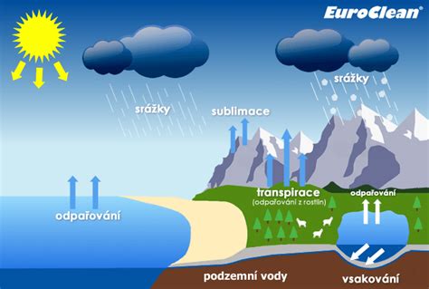 Infografika: Jak rozpoznat odtok plodové vody