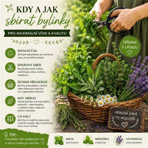 Infografika: Jak správně sterilizovat dudlík a kdy měnit.