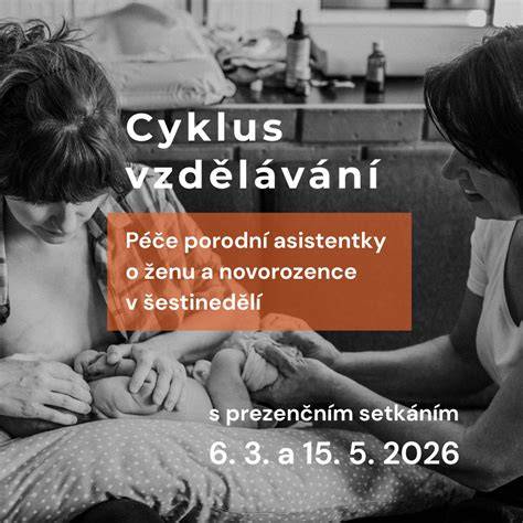 Schéma spolupráce porodních asistentek a zdravotnických institucí v Evropě