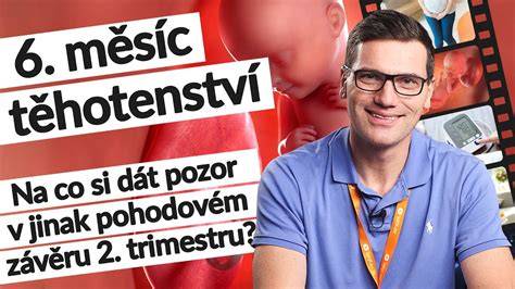 Infografika: Týden po týdnu - přehled vyšetření a ultrazvuků