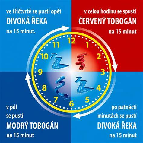 Infografika: Struktura předporodních kurzů a časový rozvrh