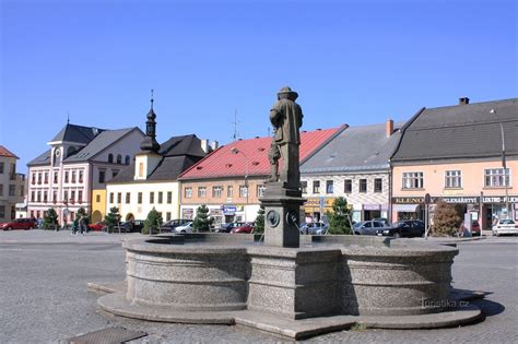 Infografika: Struktura oddělení a služby Nové Město na Moravě