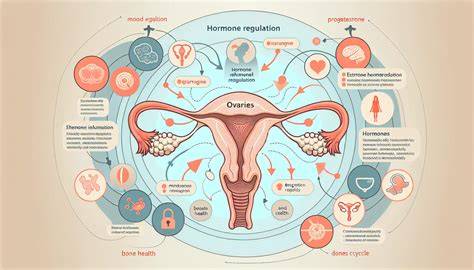 Grafik. Poševní mikrobiom a vliv hormonů na vaginální rovnováhu