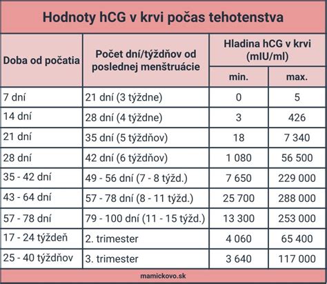 Infografika: Srovnání krevního a močového testu hCG, časová osa vývoje hCG v těhotenství
