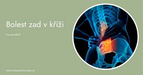 Infografika: Fyziologie těhotenství a bolesti zad během trimestrů