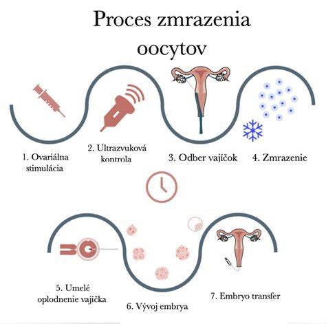 Infografika: postup IVF od stimulace po embryotransfer