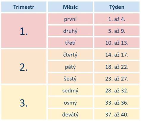 Tabulka metod přerušení těhotenství v prvním trimestru