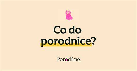 Ilustrace praktického rozdělení tašek do porodnice podle účelu