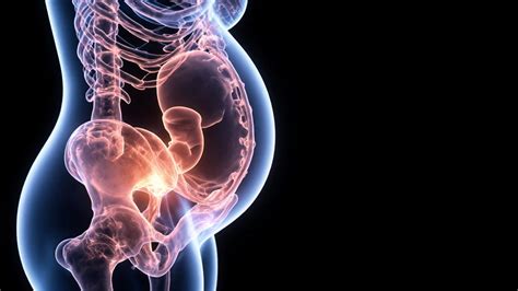 Infografika: Anatomie pánve a její změny v těhotenství