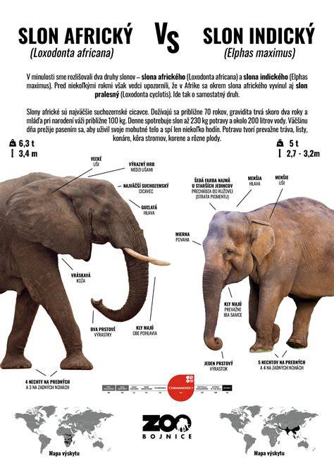 Infografika: Rozdíly mezi lehátky a houpadly, vhodný věk použití a nosnost
