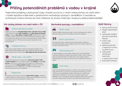 Infografika: Příčiny potratu, rizikové období a možnosti vyšetření