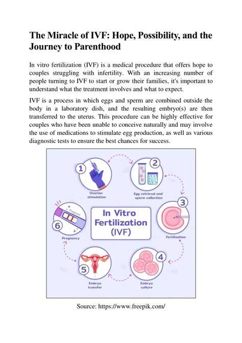 Infografika: postup IVF a possibility kryoembryotransfer