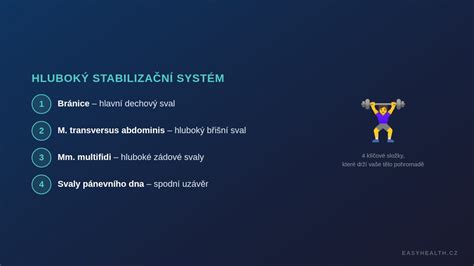Schéma hlubokého stabilizačního systému a nacvičování dechu