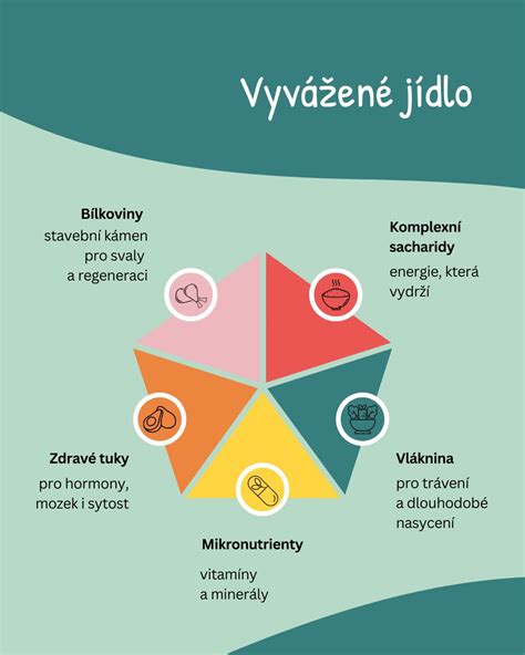 schéma složení mateřského mléka s rozdělením na bílkoviny, tuky, sacharidy, vitaminy a minerály