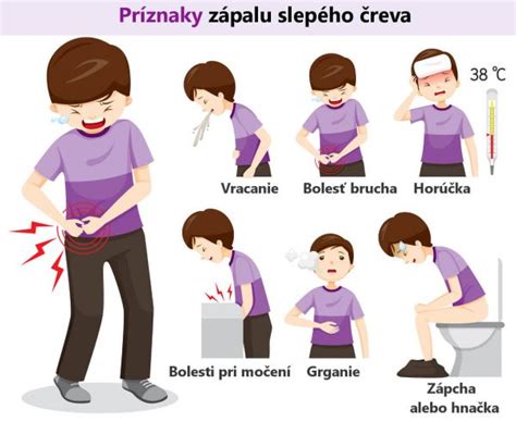 Infografika: poloha slepého střeva během těhotenství