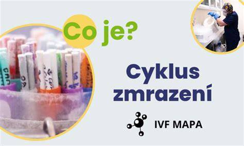 Schéma IVF: cyklus, cykly a doplatky