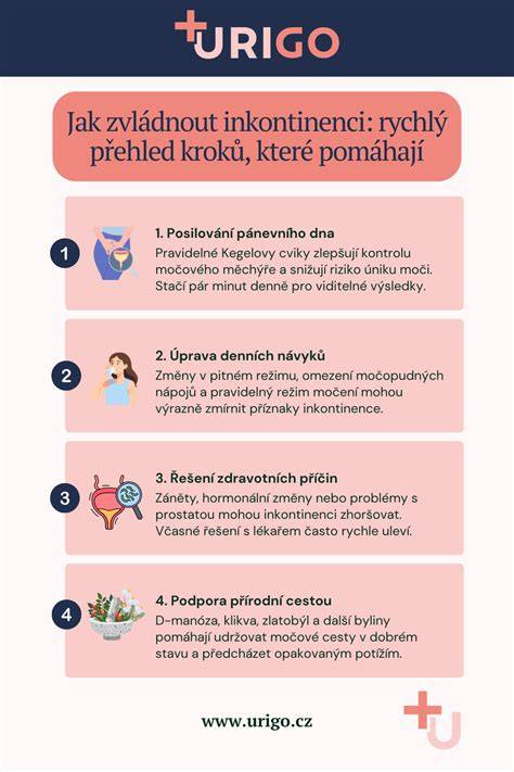Infografika: Krok za krokem - správná technika přisátí a poloha dítěte