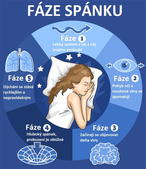 Infografika - Fáze spánku a typické projevy kojenců ve spánku