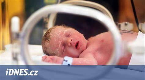 Infografika: Předčasné porody - rozdělení podle týdne těhotenství a hmotnosti